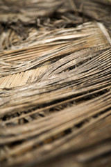 Naklejka premium Dry palm leaves in Agonda, Goa, India