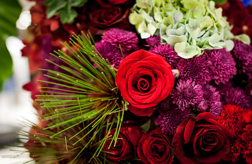  Beautiful Roses as a background