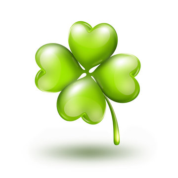 bright leaf clover on white background