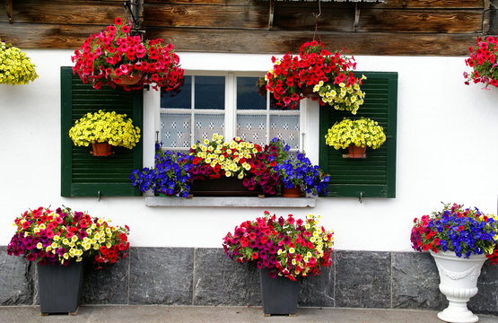 Blumengeschmücktes Fenster an einem Schweizer Wohnhaus