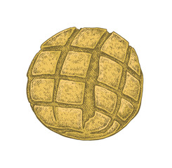 Hand drawn sketchy style colorful white bread loaf.