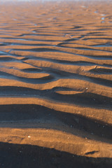 Ripple textures in the sand at sunset on a warm golden beach