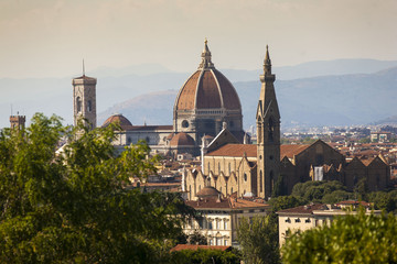 Fototapeta na wymiar Toscana,Firenze,il duomo e la chiesa di Santa Croce.