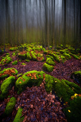Roche Verte