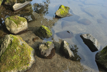 Fototapeta na wymiar 苔の付いた湖畔の石