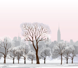 Obraz premium Christmas Winter Cityscape. Winter city landscape. Park alleyway in snow with steel light. Snowy Christmas cityscape with park trees