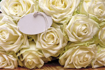 White roses .Wedding card.