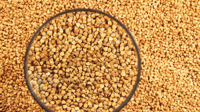 A buckwheats under the magnifying glass
