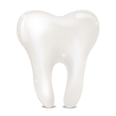 Tooth on a white background. isolated