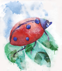 illustration insect ladybug on a leaf