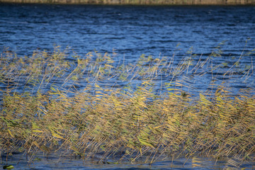 Lake landscape in autumn