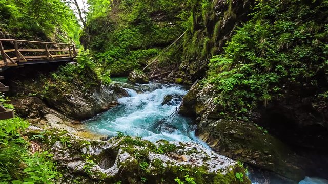 Raw footage from the Vintgar gorge, beauty of nature, with river Radovna flowing through it, near Bled, Slovenia