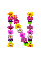 N, flower alphabet isolated on white