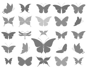 Butterflies graphic silhouettes