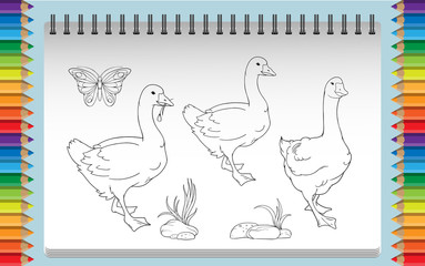 images of goose, stones and butterfl