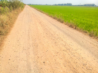 Rural roads are dry side of the force field.