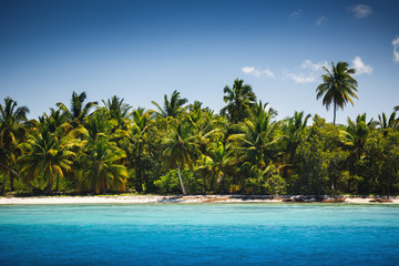 Palm trees on the tropical beach, Saona Island, Dominican Republ