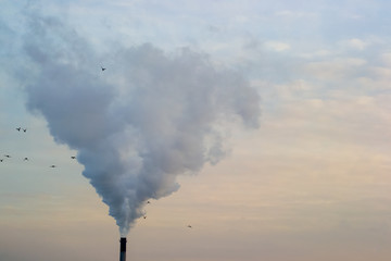 chimney pollution  indusrty