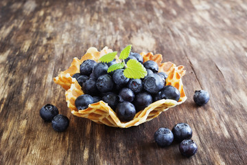  ripe forest blueberries
