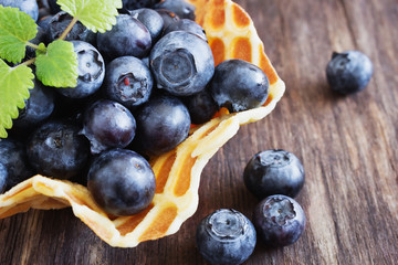 ripe forest blueberries