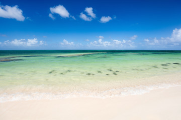 Fototapeta na wymiar Idyllic beach at Caribbean