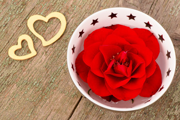 Valentinstag und rote Rose