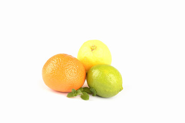 Citrus fruits isolated on white background