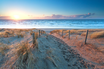 sunshine over the sand path to North sea coast - obrazy, fototapety, plakaty