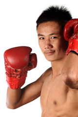 Real Muay Thai Boxing Male Boxer