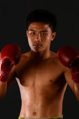 Muay Thai boxing male boxer isolated on black backgrounds