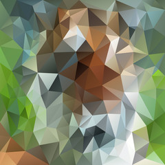 vector polygon background with irregular tessellation pattern - triangular geometric design in natural forestry color - green, white and brown