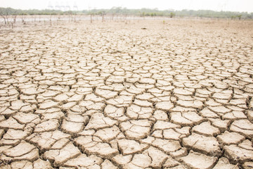 Drought, global warming, environment changes suddenly.