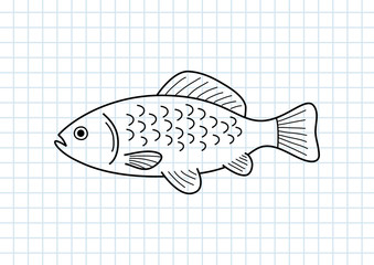 Fish drawing on squared paper