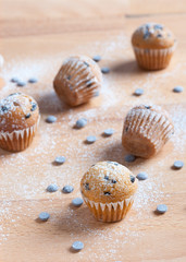 muffins