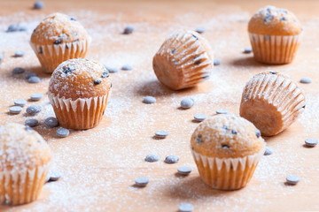 muffins