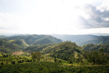 Hochland im Süden von Vietnam