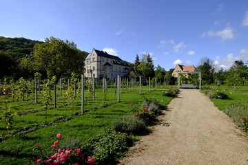 Kloster Schulpforte mit Klostergarten  in Schulpforte bei Naumbu