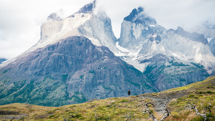 Torres del Paine National Park. A person walking in the distance.
