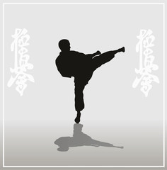 Illustration, the man showing karate on a light background.