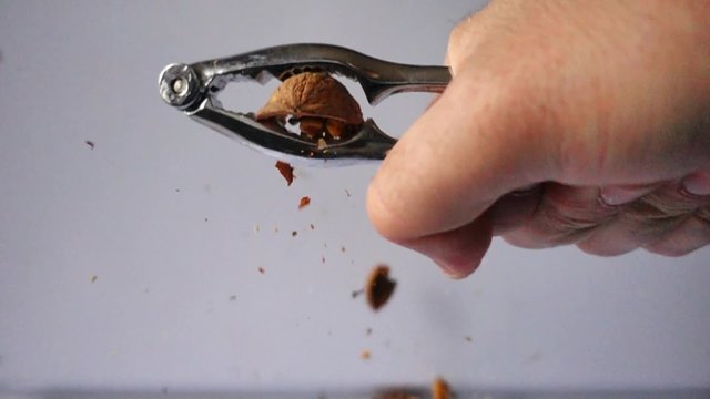 Une noix cass&eacute;e en slow motion