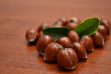 yağlı fındık
