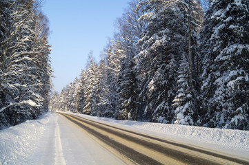 Winter road in wood