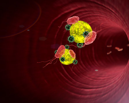 viruses and fat cell, Human Immune System attack the virus, viruses, macrophage and fat cells inside the blood vessel, white blood cells inside the blood vessel, High quality 3d render of blood cells