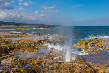 beautiful summer sea coast scene
