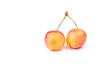 cherry on a white background