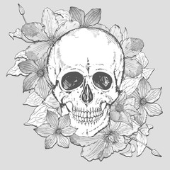 Vector illustration with hand drawn human skull, clematis flower