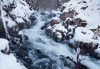 Water in frozen stream. 