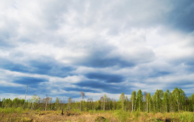 Fototapeta na wymiar Dark cloudy sky over a spring forest