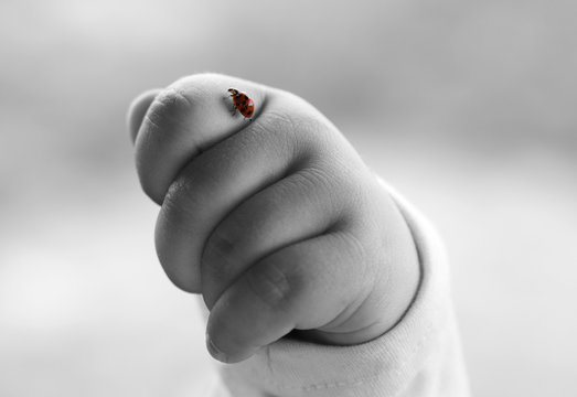 Colorful ladybird on baby's hand