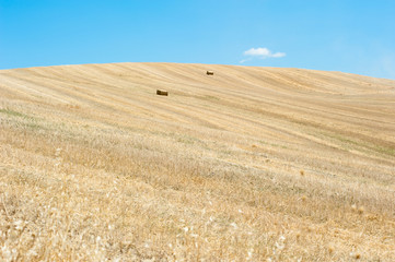 Colline toscane
